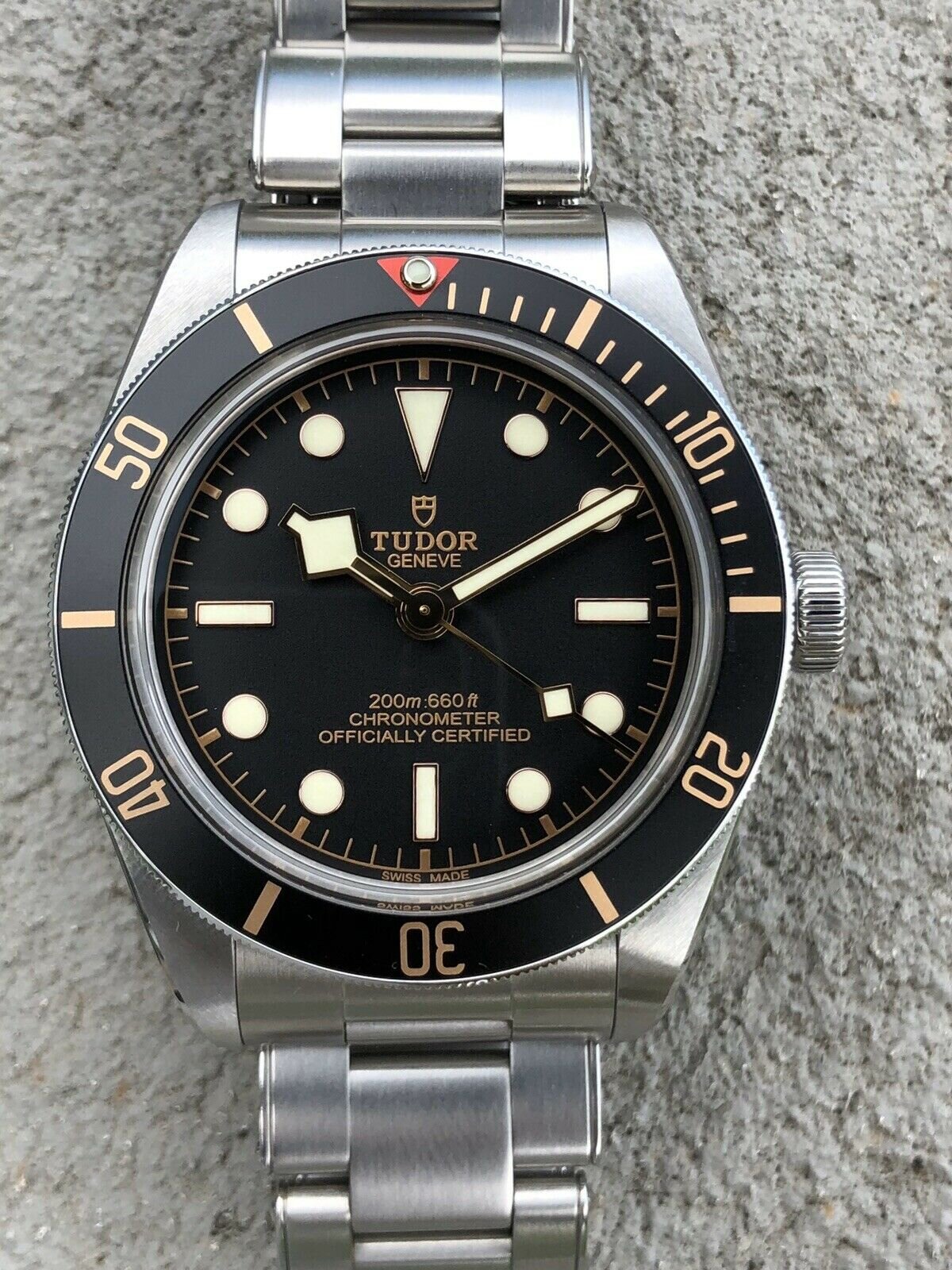 Tudor Black Bay 58 79030N 2018 with box and papers Watch Vault