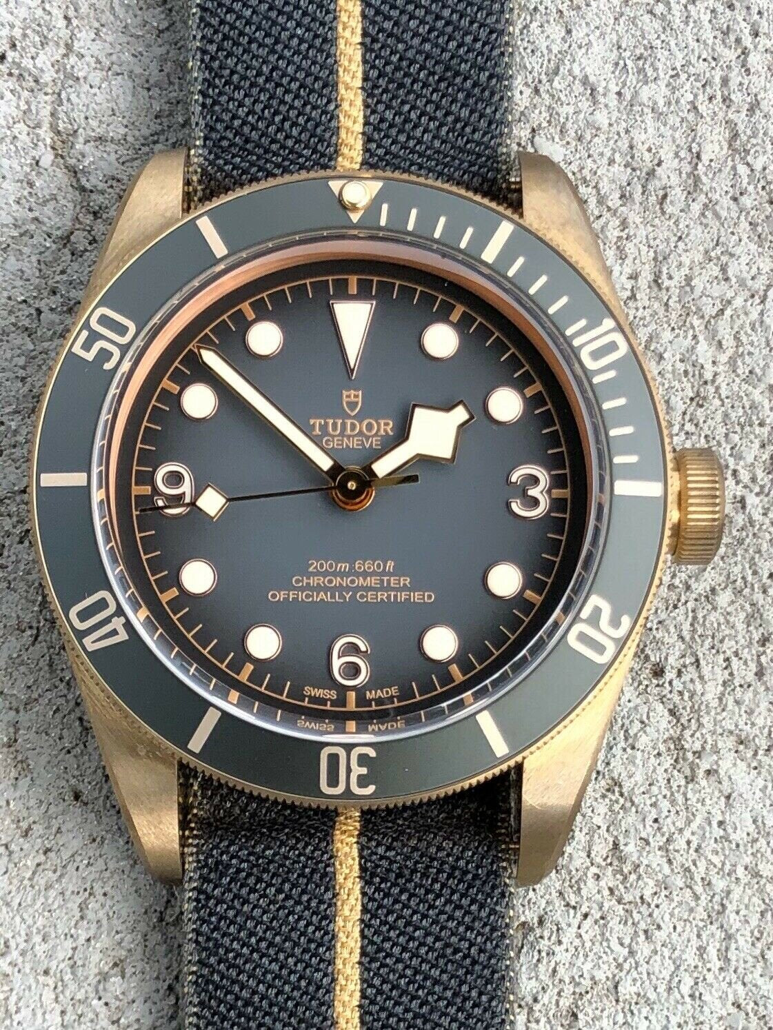 Tudor Black Bay Bronze M79250BA 0002 2019 Watch Vault Australia