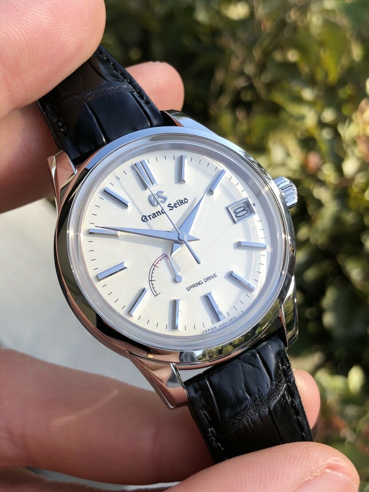 Grand seiko clearance sbga293g