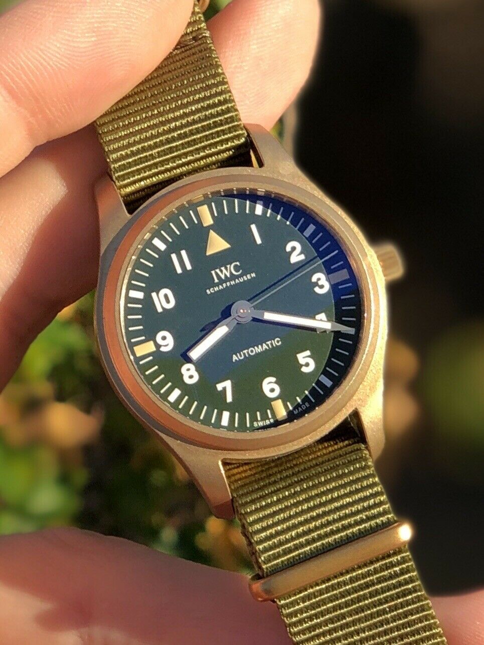 Iwc revolution online