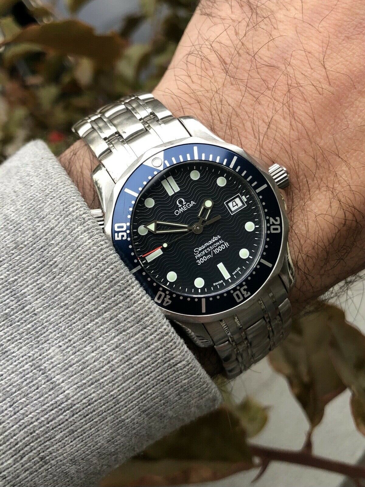 Seamaster 36 on sale