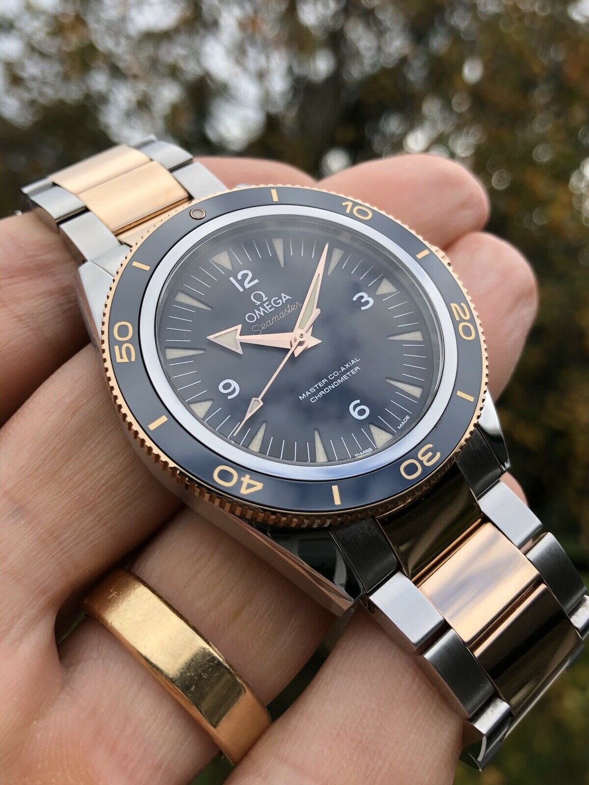 Omega_Seamaster_300_Co_E2_80_91Axial_41mm_Sedna_Gold_Two-Tone_233.20.41.21.01.001_-_2016_Watch_Vault_02.jpg