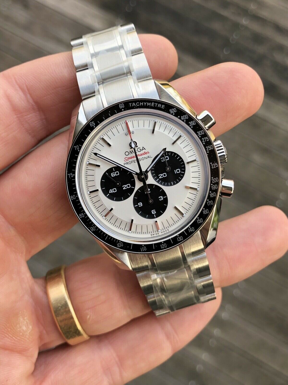 Omega speedy panda 2025