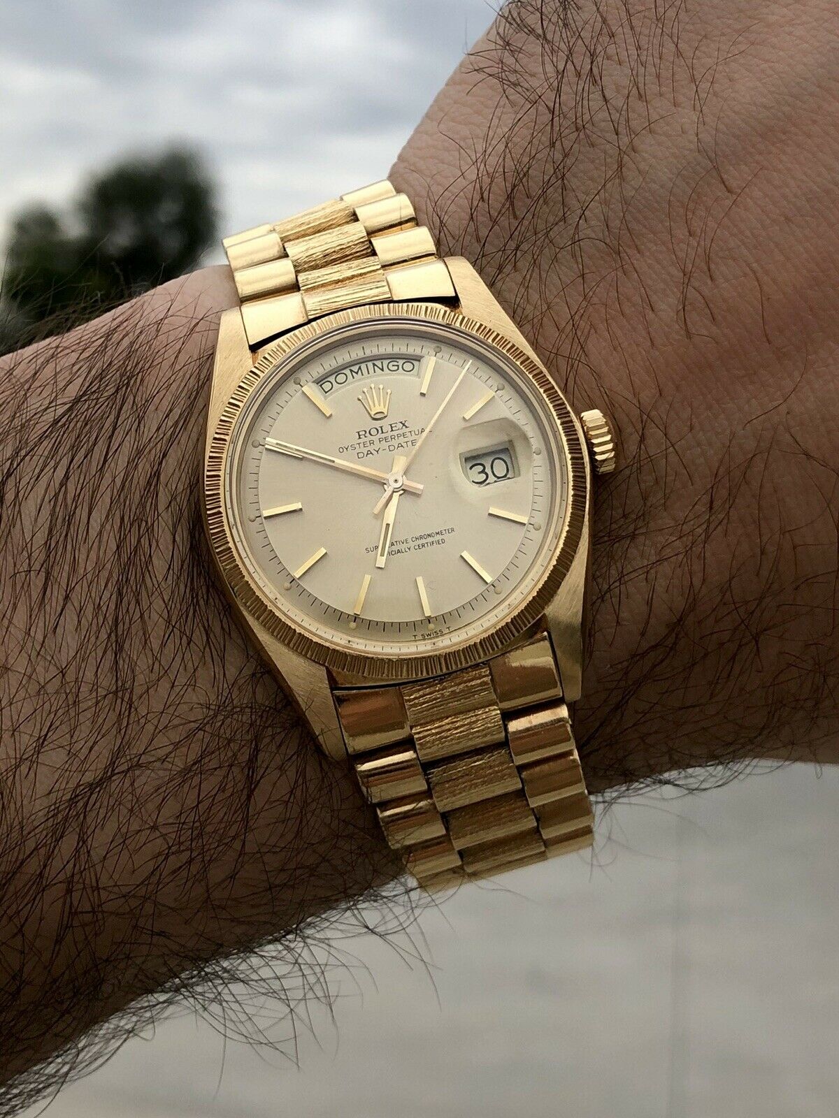 Rolex day date bark finish top