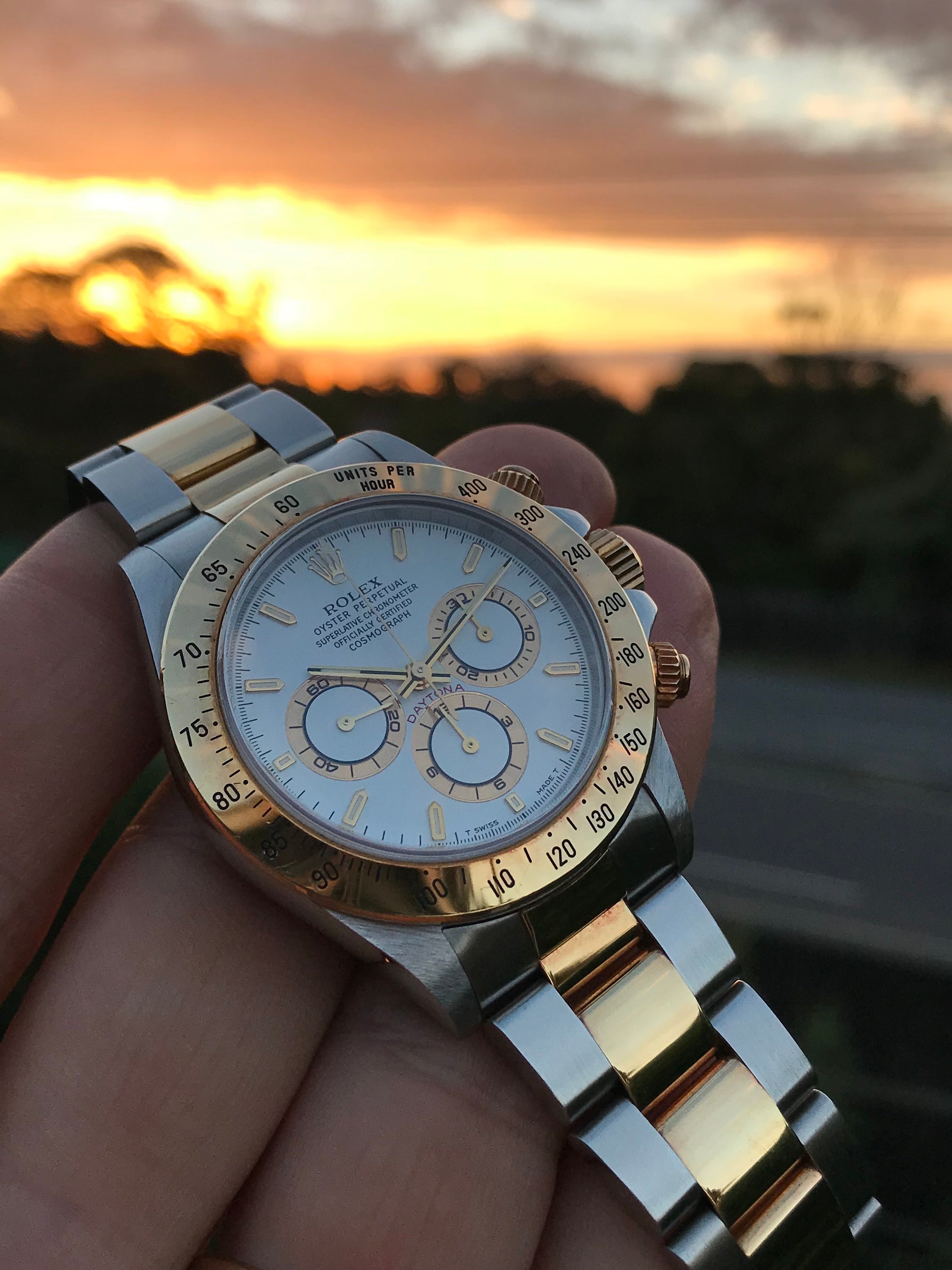 Daytona two tone leather strap best sale