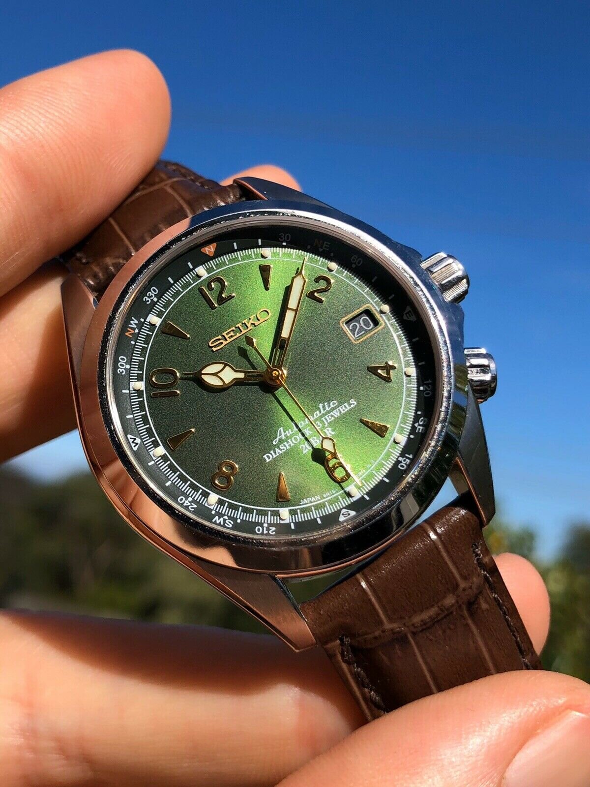 Seiko Alpinist SARB017