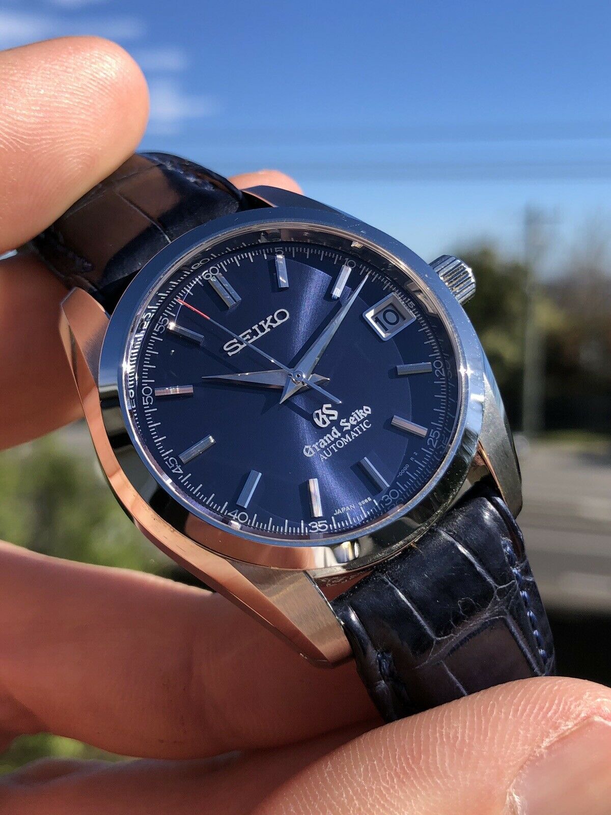 Seiko_Grand_Seiko_SBGR073_-_Watch_Vault_282_29.jpg