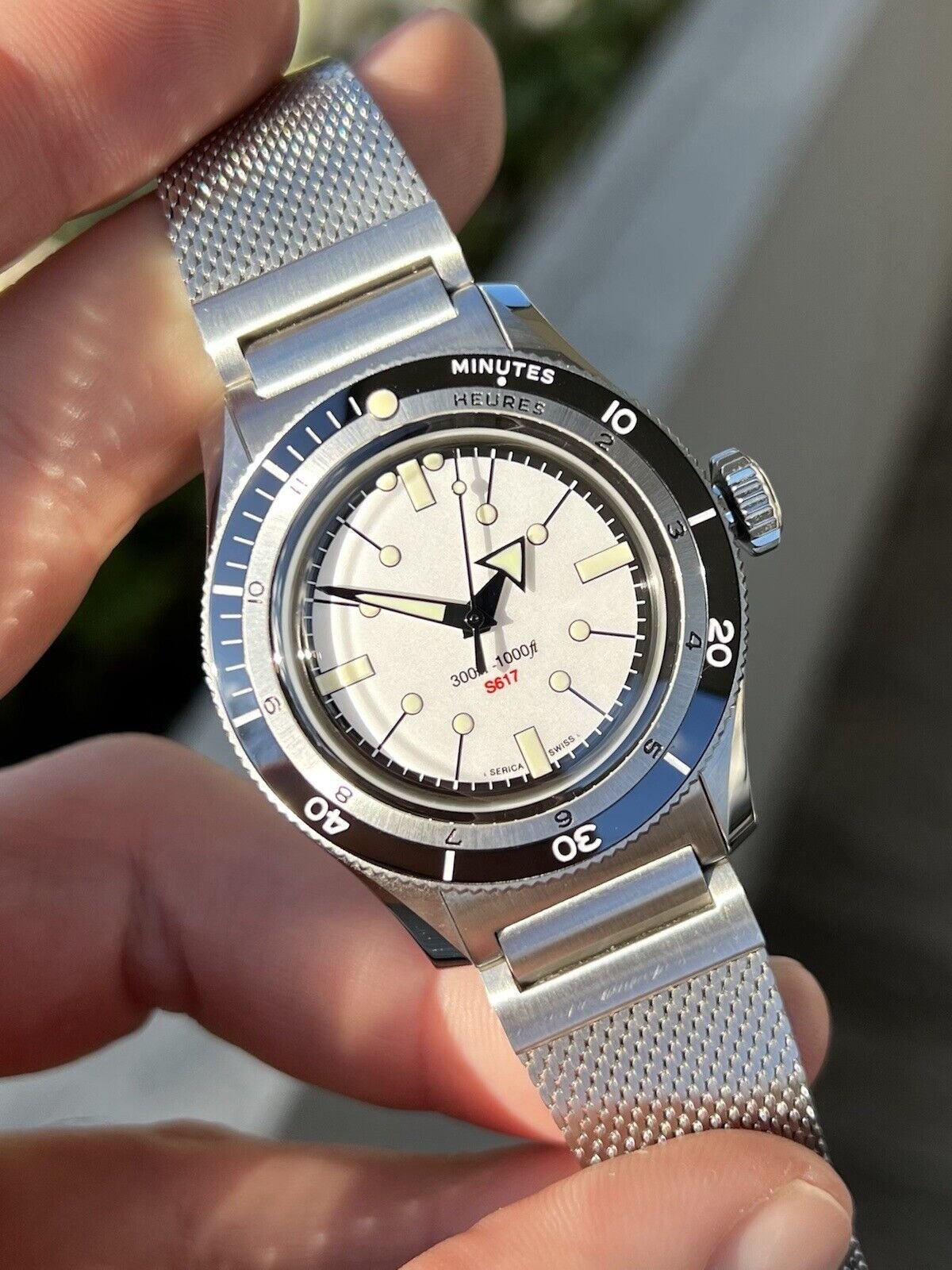 Serica 5303 - 2021