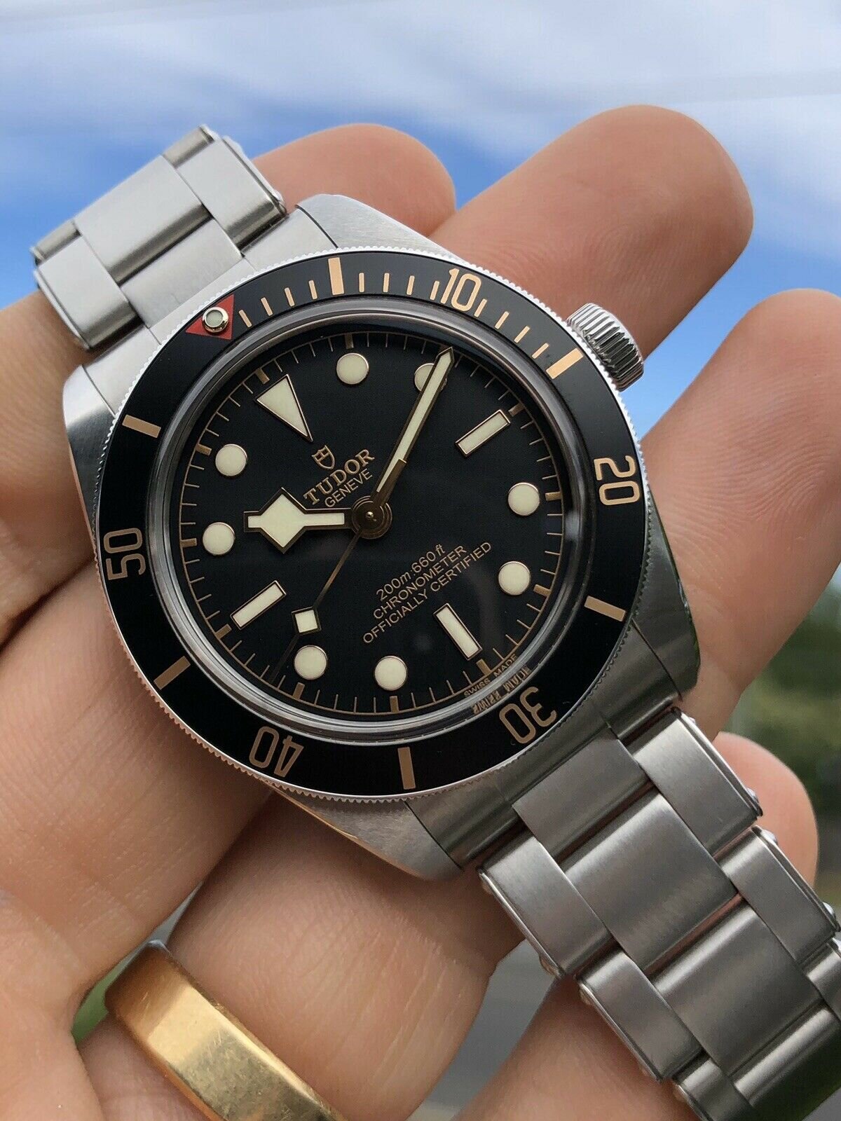 Tudor_Black_Bay_58_79030N_-_2018_with_box_and_papers_Watch_Vault_282_29.jpg