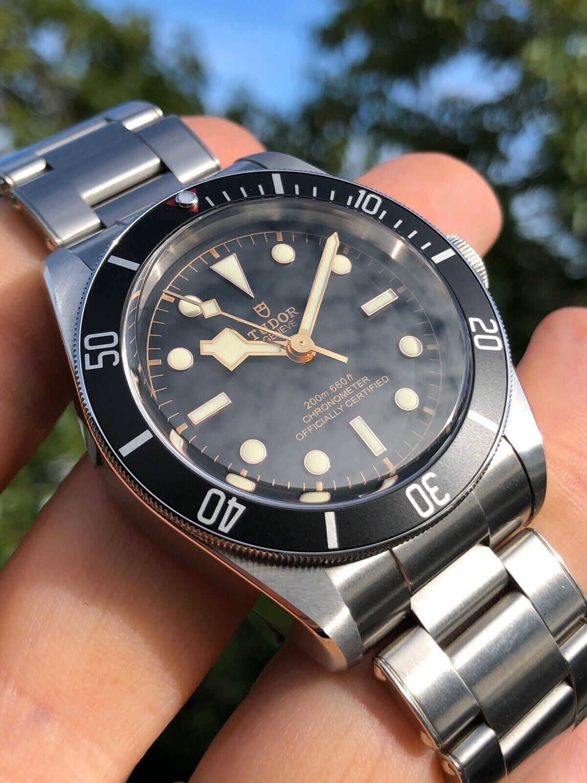 Tudor Black Bay Black M79230N - 2019