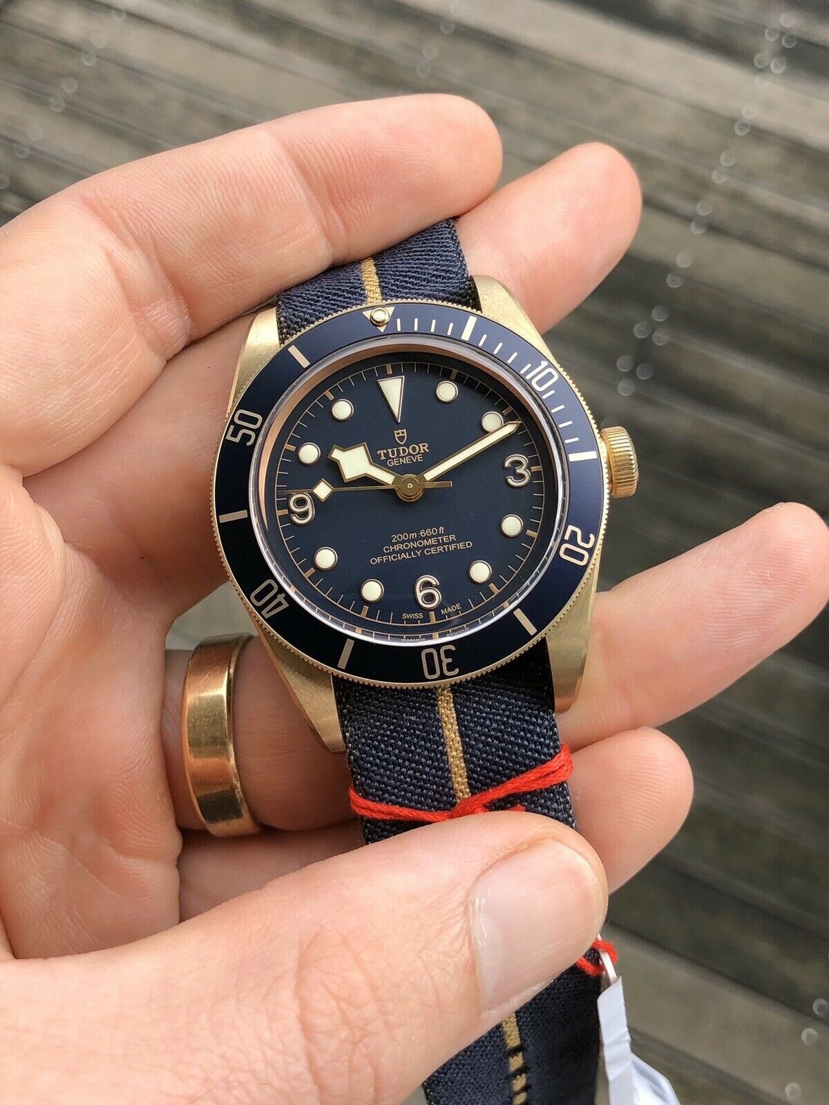 Bucherer tudor bronze sales