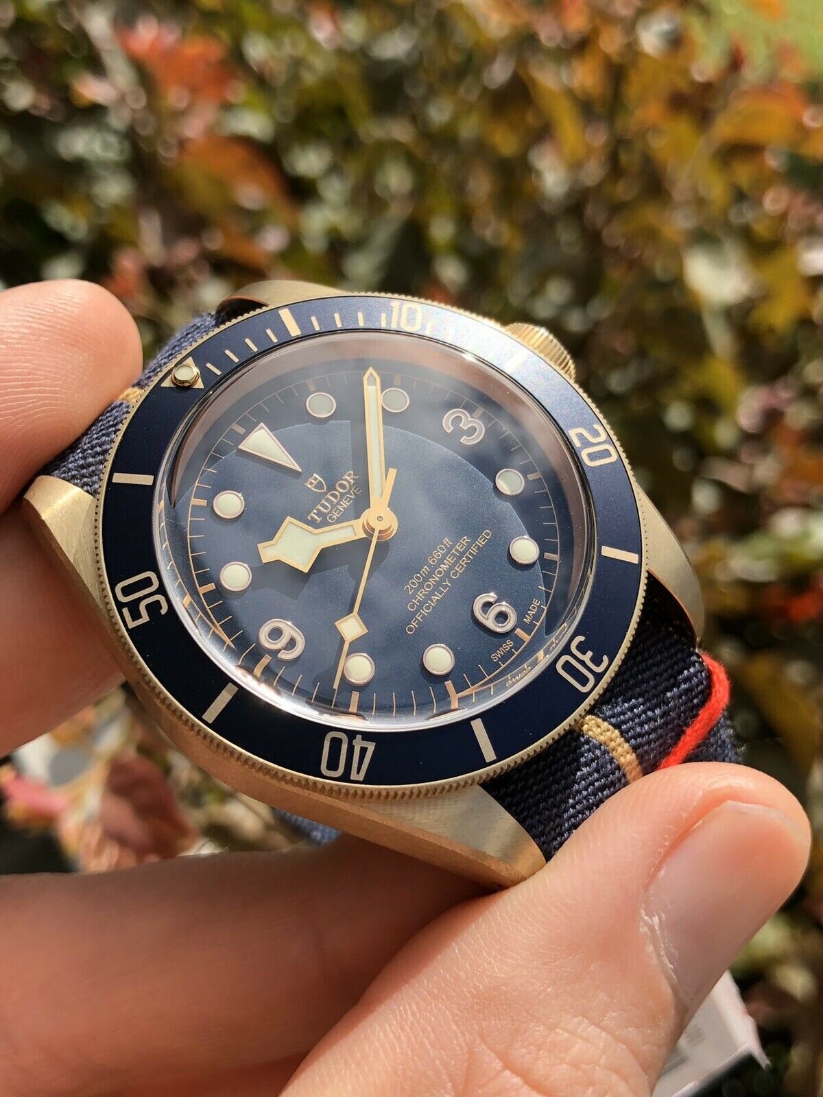 Tudor Black Bay Bronze Bucherer 79250BB - 2019 Unworn