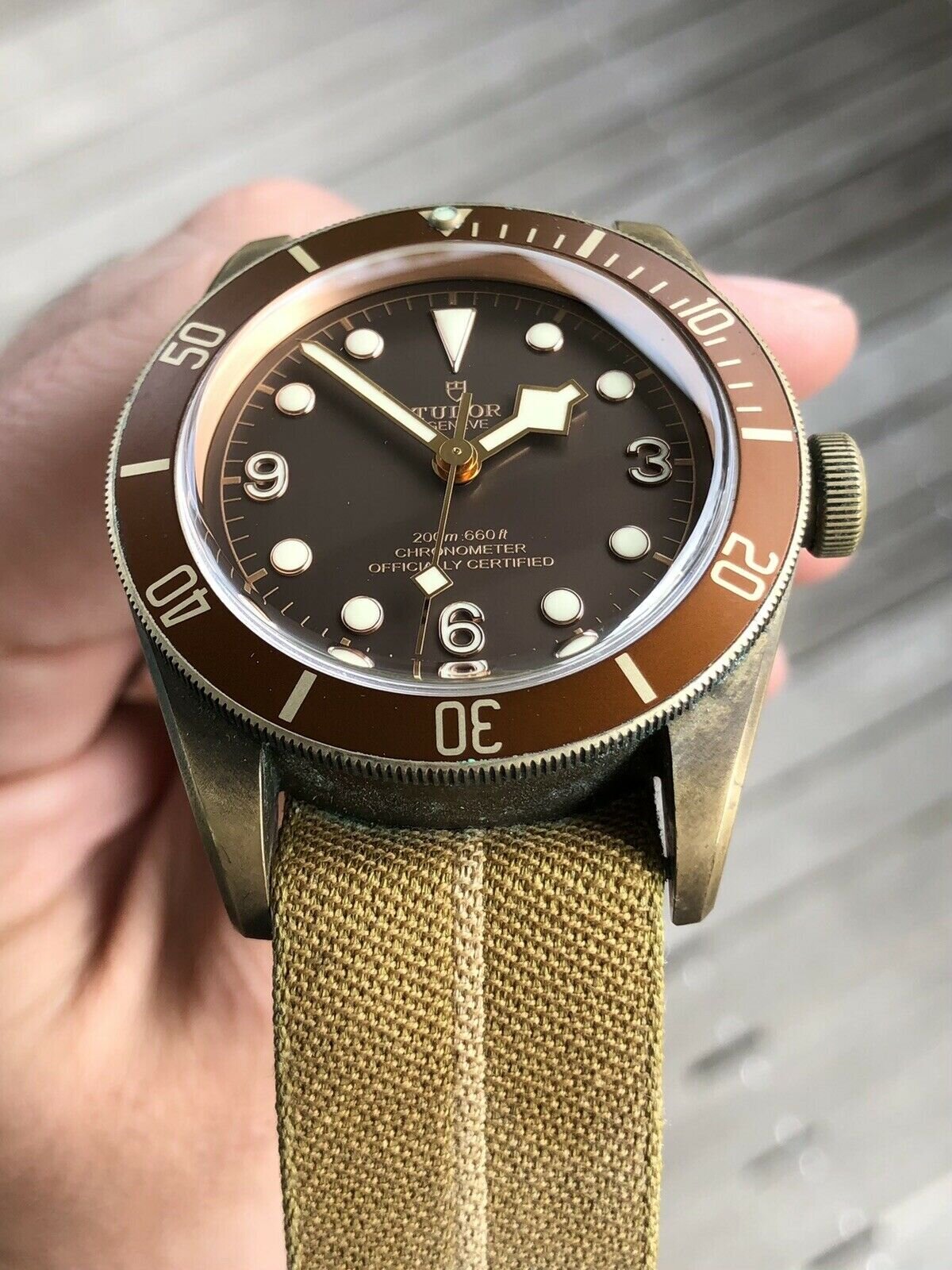 Tudor black bay bronze discontinued new arrivals