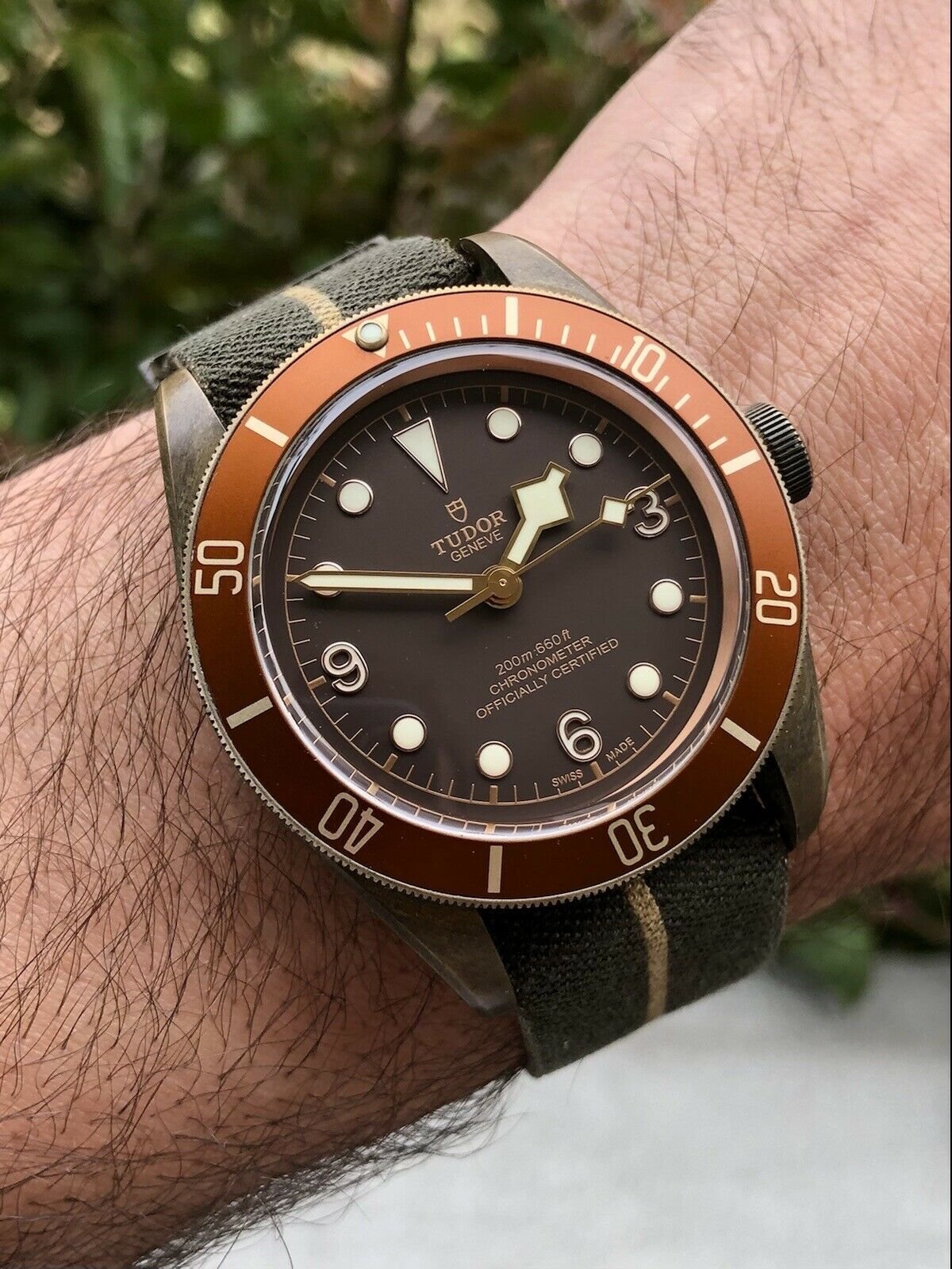 Tudor Black Bay Bronze M79250BM 2017 Watch Vault Australia
