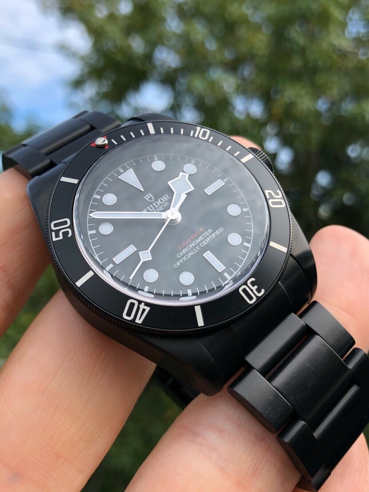 Tudor_Black_Bay_Dark_M79230DK_-_2018_with_box_and_papers_Watch_Vault_282_29.jpg