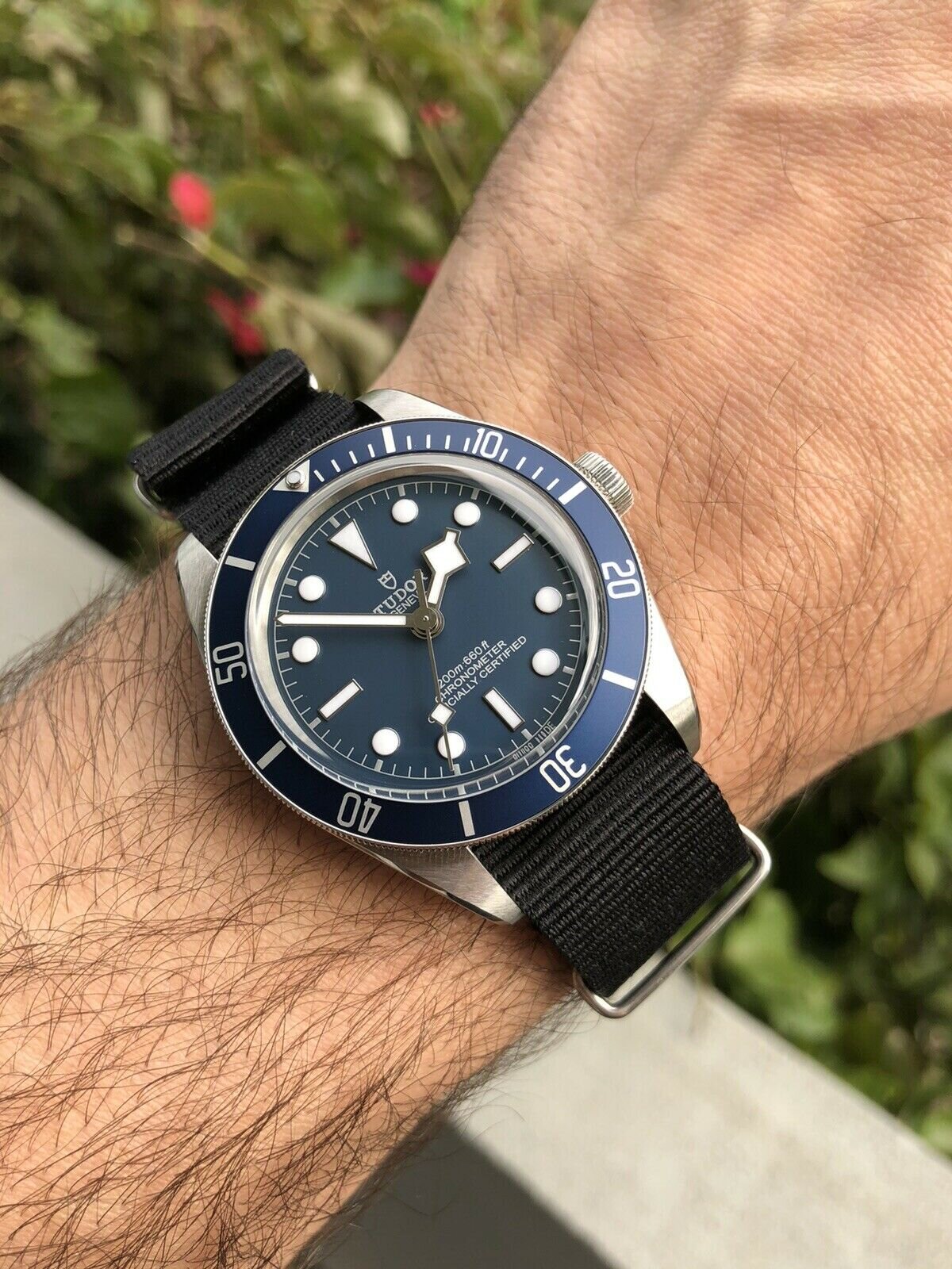 Tudor black bay hot sale blue nato