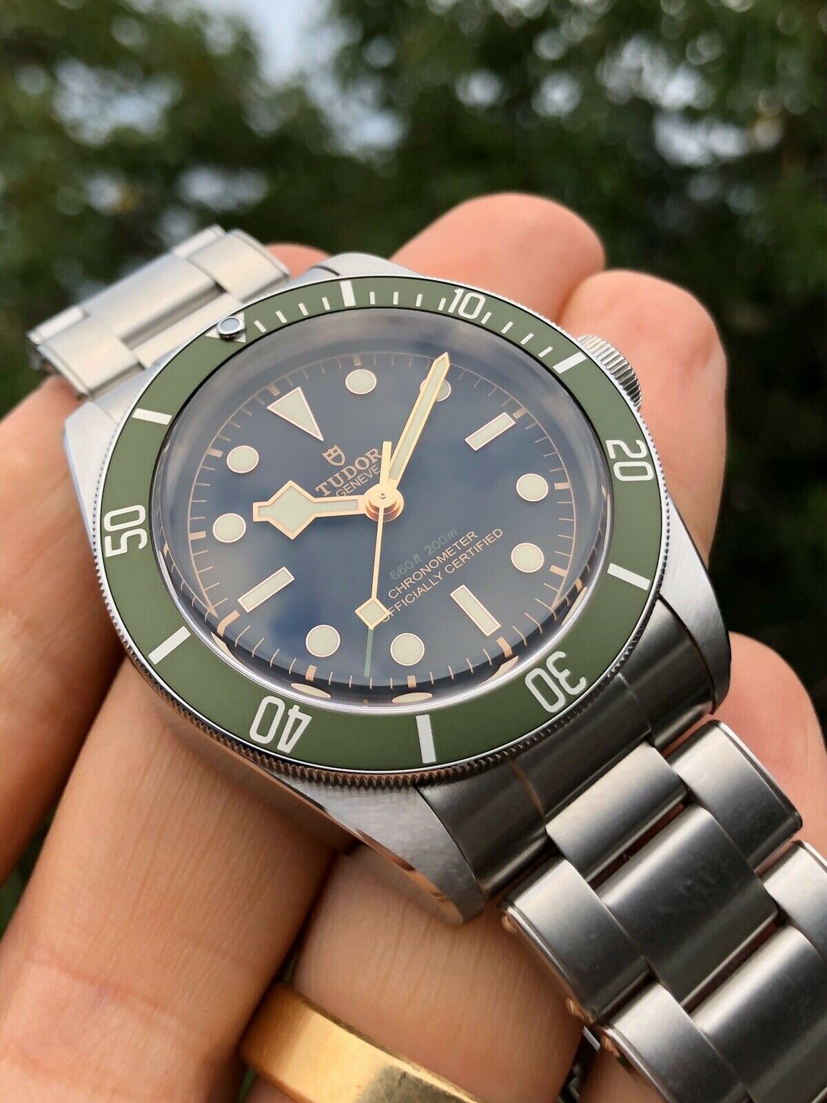 Tudor_Black_Bay_Harrods_79230G_-_2019_Watch_Vault_282_29.jpg