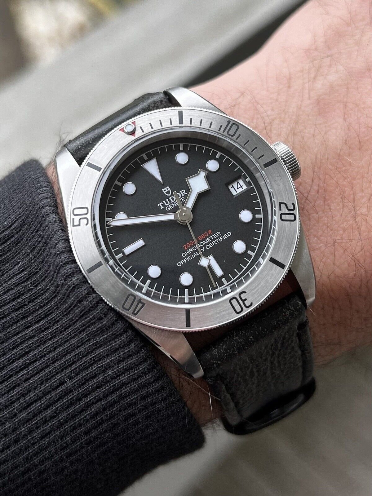 Tudor heritage shop black bay steel