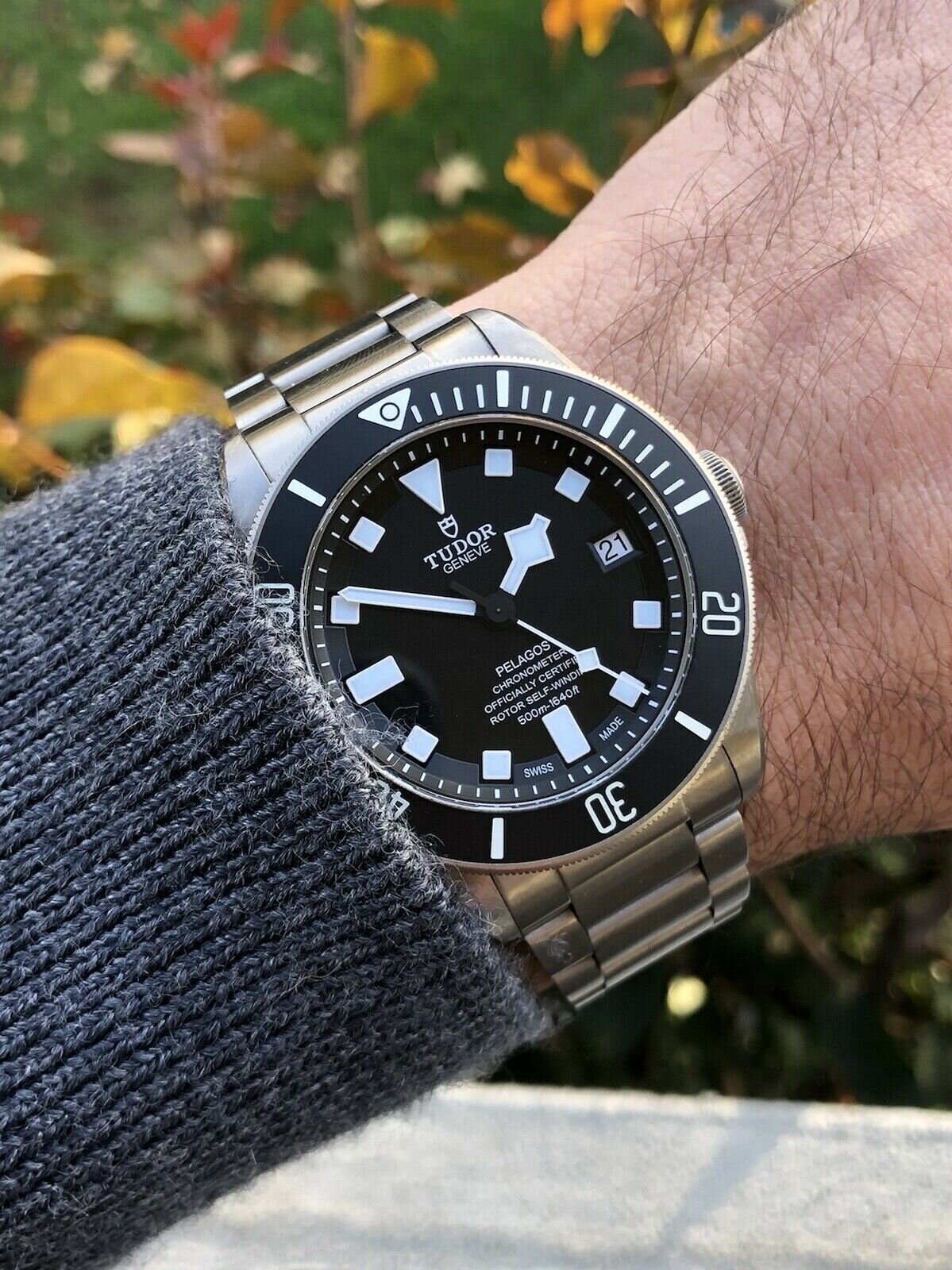 Tudor pelagos discount 2018
